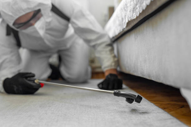 Professional Termite Control technician working in Kensington, NY