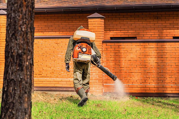 Trusted Cockroach Control service in Kensington, NY - Nex Pest Control